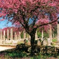 Athens Airport Transfer Services to/from Olympia