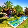 Athens Airport Transfer Services to/from Nikaia