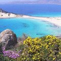 Elafonisos