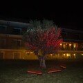 Europa Beach Hotel