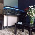Star Hotel
