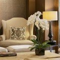 The Y Hotel