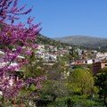 Athens Airport Transfer Services to/from Vilia